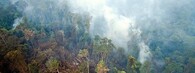 Požár poblíž národního parku Gunung Palung, západní Kalimantan