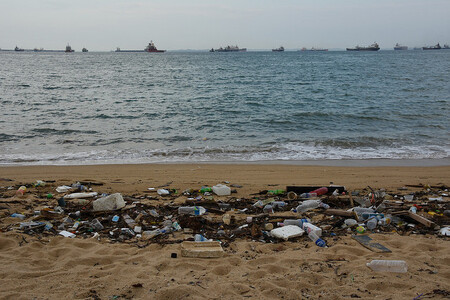 Podle Laversové přibude každý rok na světě 300 milionů tun plastu, které nejsou zrecyklovány. Rok co rok v moři skončí osm milionů tun plastů. Vědci mají za to, že ve všech světových oceánech může být až 110 milionů tun plastového odpadu. / ilustrační foto