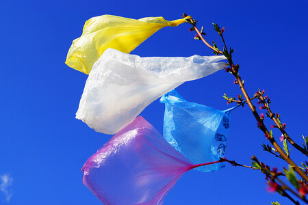 Dříve nebo později se některé plastové tašky dostanou do volného prostředí. A tam se jednak dlouho rozkládají, jednak škodí živočichům, kteří si je spletou se svou potravou.