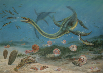 Rekonstrukce křídového moře včetně vystaveného plesiosaura. Autorem ilustrace Petr Modlitba