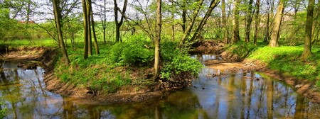 Přírodní rezervaci Zbytka ohraničuje řeka Dědina