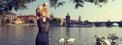 Léto u Vltavy Foto: Skreidzleu / Shutterstock