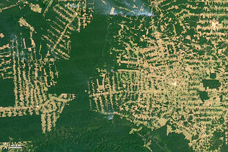 Odlesňování Amazonie na satelitním snímku