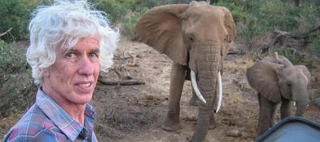 Američan Esmond Martin se kromě pátrání po nelegální obchodu se slonovinou podílel na přesvědčení Číny, aby zakázala používání slonoviny. V minulosti byl Martin zvláštní vyslanec Spojených národů pro ochranu nosorožců.
