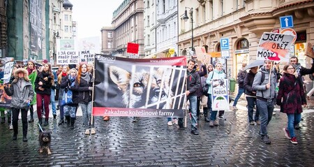 Několik set aktivistů, požadujících zákaz kožešinových farem, prošlo včera odpoledne Prahou.
