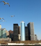 Ptáci na Manhattanu
