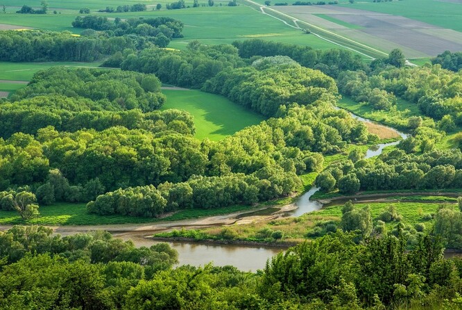 Největší a nejzachovalejší říční krajinou u nás je zřejmě Litovelské Pomoraví. Na ilustračním snímku řeka Morava.