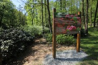 Rododendron park