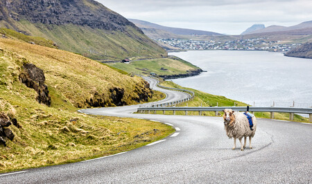 Několik silnic na Faerských ostrovech. Na většinu míst se ale auto nedostane. Ovce ano.