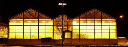 Zářící skleníky v noci Foto: RHIMAGE / Shutterstock.com