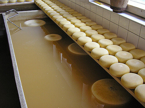 V Millwaukee, které je vyhlášené výrobou sýrů, se rozhodli využívat odpadní procesní vodu jinak než ji poslat na čistírnu odpadních vod.