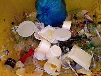 Třídění odpadů nemůžete nechat bez dozoru. Dříve nebo později hodí někdo do vytříděného plastu plastový tácek se zbytky guláše.