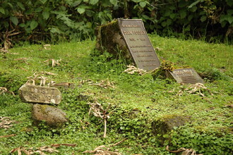 Při pohledu na Digitův hrob, který je hned vedle náhrobku Fosseyové, člověka napadá, kolik bolesti, strachu a zklamání musely gorily a jejich ochránkyně prožít.