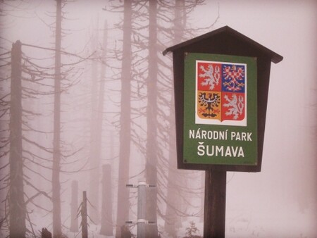 Zákon o národním parku Šumava konečně míří do sněmovny, poslanci ho ale uvidí zřejmě až v září
