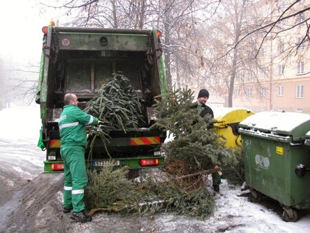 V Sokolově začali se štěpkováním vysloužilých vánočních stromečků. Vzniklou dřevní hmotu městské technické služby Sotes využijí při údržbě zeleně ve městě. Ilustrační foto.