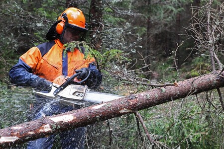 ČOV tvrdí, že má jako organizátor projektu lokalitu od obce zapůjčenou a rozhodnutí porazit stromy nevzešlo z jejich strany.