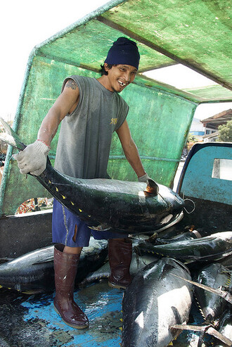 "V globálním měřítku jsou opravdu velkým průšvihem mořské ryby. V jejich případě sice hraje roli i znečištění, hlavním důvodem je ale přelovení. Třeba tuňáků a žraloků bylo dřív mnohem víc než dnes." Na snímku rybář s tuňákem na indonéském ostrově Bali.