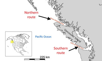 Lososi si při cestě k trdlišti musí vybrat mezi jižní a severní cestou kolem ostrova Vancouver.