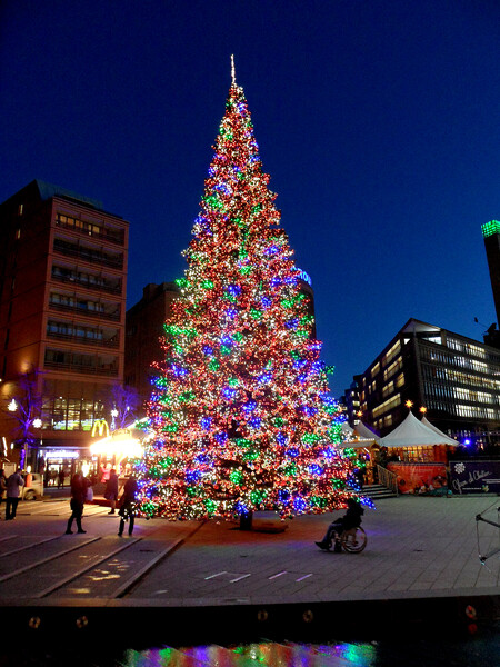 Posílání vánočních smrků do Nizozemska má mezi oběma městy už dlouholetou tradici, v partnerském městě mají o podobné vánoční stromy nouzi, proto jim Hranice tímto způsobem každoročně pomáhají.