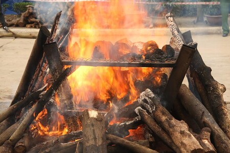 Zoo již v roce 2014 uspořádala akci nazvanou Burn horns, save rhinos (Spalte rohovinu, zachraňte nosorožce), při které spálila zhruba 60 kilogramů rohoviny.