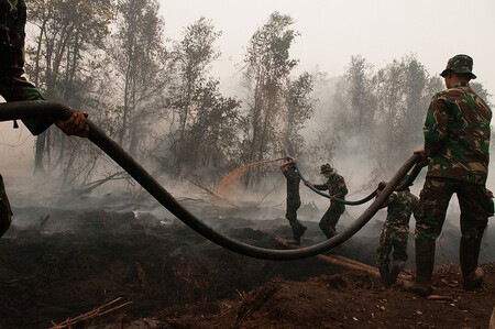 Indonéští vojáci se snaží uhasit hořící rašeliniště nedaleko Palangka Raya, Kalimantan.