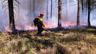 Příklad z USA - řízené vypalování je součástí péče o cenná přírodní území.