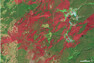 Snímek z 2. srpna 1989 ukazuje celou rozlohu spáleného území. Je na něm však rovněž vidět, že oheň nepohltil celou oblast bez výjimky, ale že se zachovala nedotčená místa a rovněž intenzita spálení se lišila místo od místa. Tmavě červená místa jsou opravdu silně spálená, ta světlejší byla spálena méně.