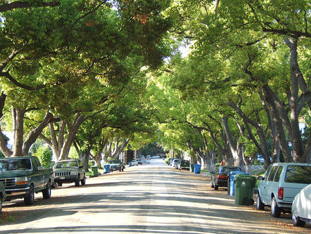 „Občas máme tendenci propadat zjednodušujícímu pohledu na stromy, jako že jsou jen jakousi estetickou drobností podél ulic,“ říká Greg McPherson, vedoucí autor studie. „Nebo ještě hůř, že jsou zdrojem komplikací typu spadaného listí. Když ale přijdeme s ryze monetárním přístupem, mohou místní lidé vědět, proč se péče o městské stromy vyplatí.“