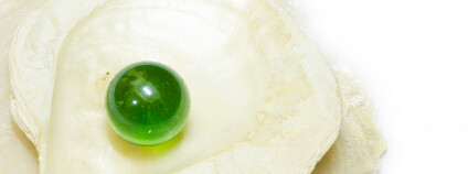 Zelená perla Foto: RATCHANAT BUA-NGERIN / Shutterstock