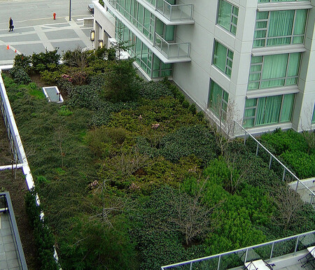 Budovy se zelenými střechami jsou částečně nebo zcela pokryté vegetací a půdou, přispívají k úspoře energie na vytápění a chlazení, zároveň okysličují, ochlazují a zvlhčují okolní vzduch a tím ve městech narušují tepelné ostrovy obsahující převážně asfalt a beton