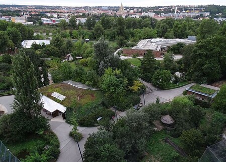 Zoo (na obrázku) je městskou příspěvkovou organizací. Zahrada je po Pražském hradu druhou nejnavštěvovanější atrakcí metropole, ročně do ní zavítá přes milion návštěvníků. / ilustrační foto