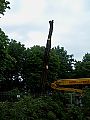 orezanystrom03.jpg