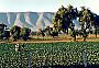 Farm��i ve st�t� Puebla, Mexiko Foto: Wikimedia Commons/Tim & Annette Tim & Annette
