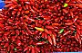 red_chilli.jpg