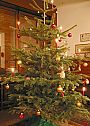 Christmas_tree.jpg