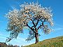 T�e�e�. Foto: Benjamin Gimmel/Wikimedia Commons