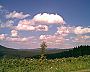 sumava01~0.jpg