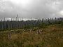 sumava03.jpg