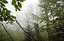 sumava09.jpg