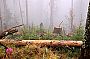 sumava09_1.jpg