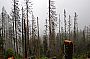 sumava09_2.jpg