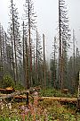 sumava09_3.jpg