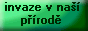Invaze