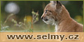 �elmy.cz � Velk� �elmy v �R a jejich ochrana