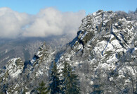 Jizerskohorské bučiny