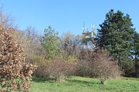 Městská hora v Berouně