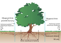 závlaha stromu