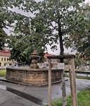 Lípa republiky ve Slaném