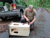 budka puštík bělavý