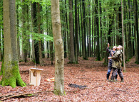 budka puštík bělavý